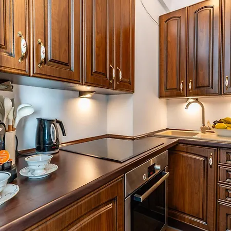 Kopernik Park 公寓 奥尔什丁